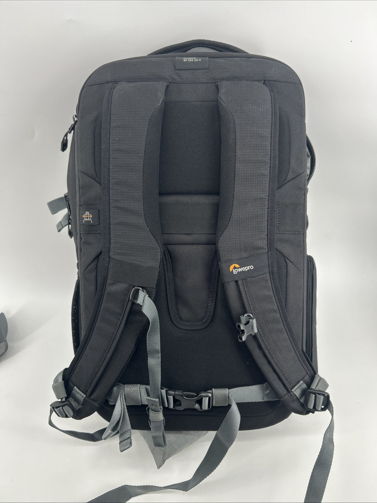 Lowepro Camera Backpack