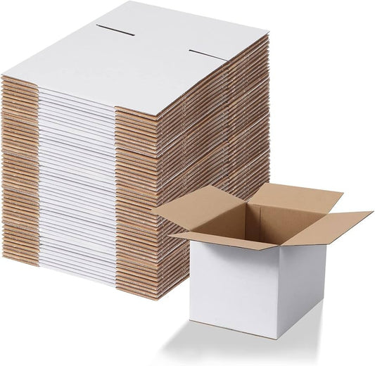 Calenzana 8x5x3 Shipping Boxes Set of 40, White Corrugated Cardboard Box