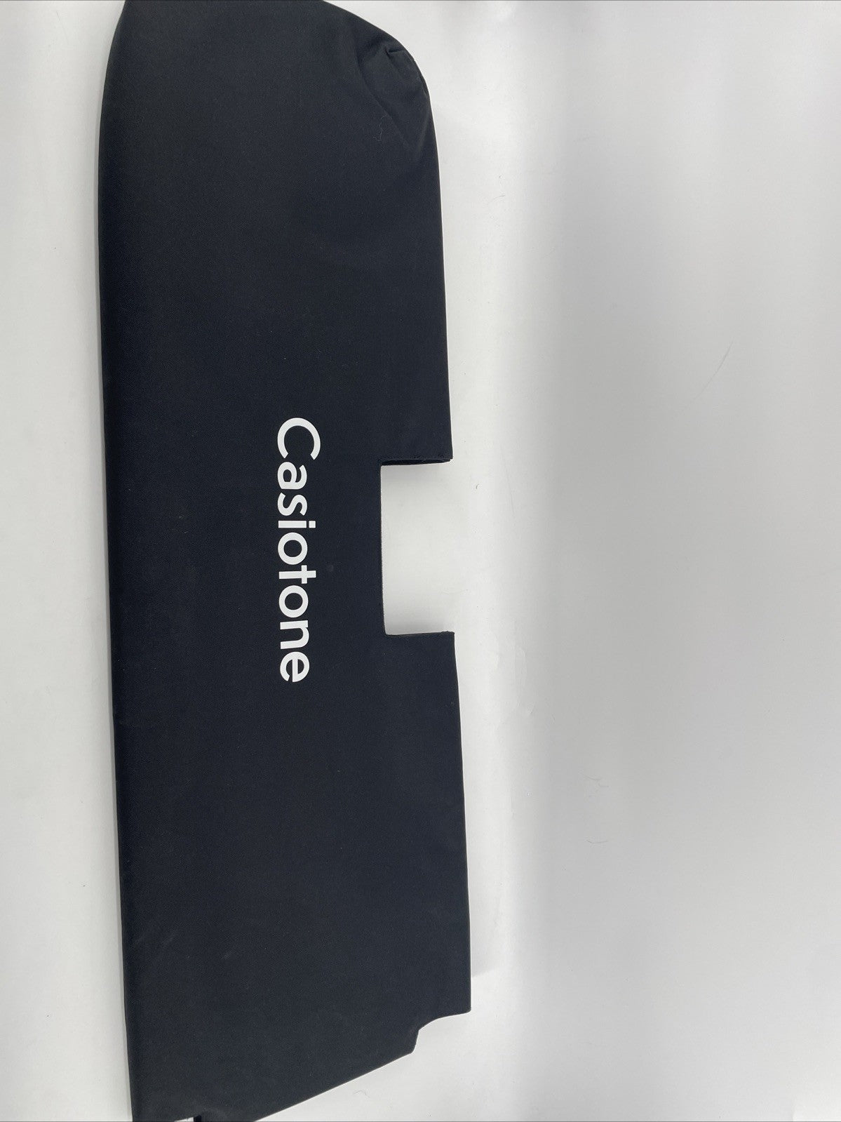 Casiotone LK-S245 + Carrying Case + Pedal - Keyboard Piano $200 Retail