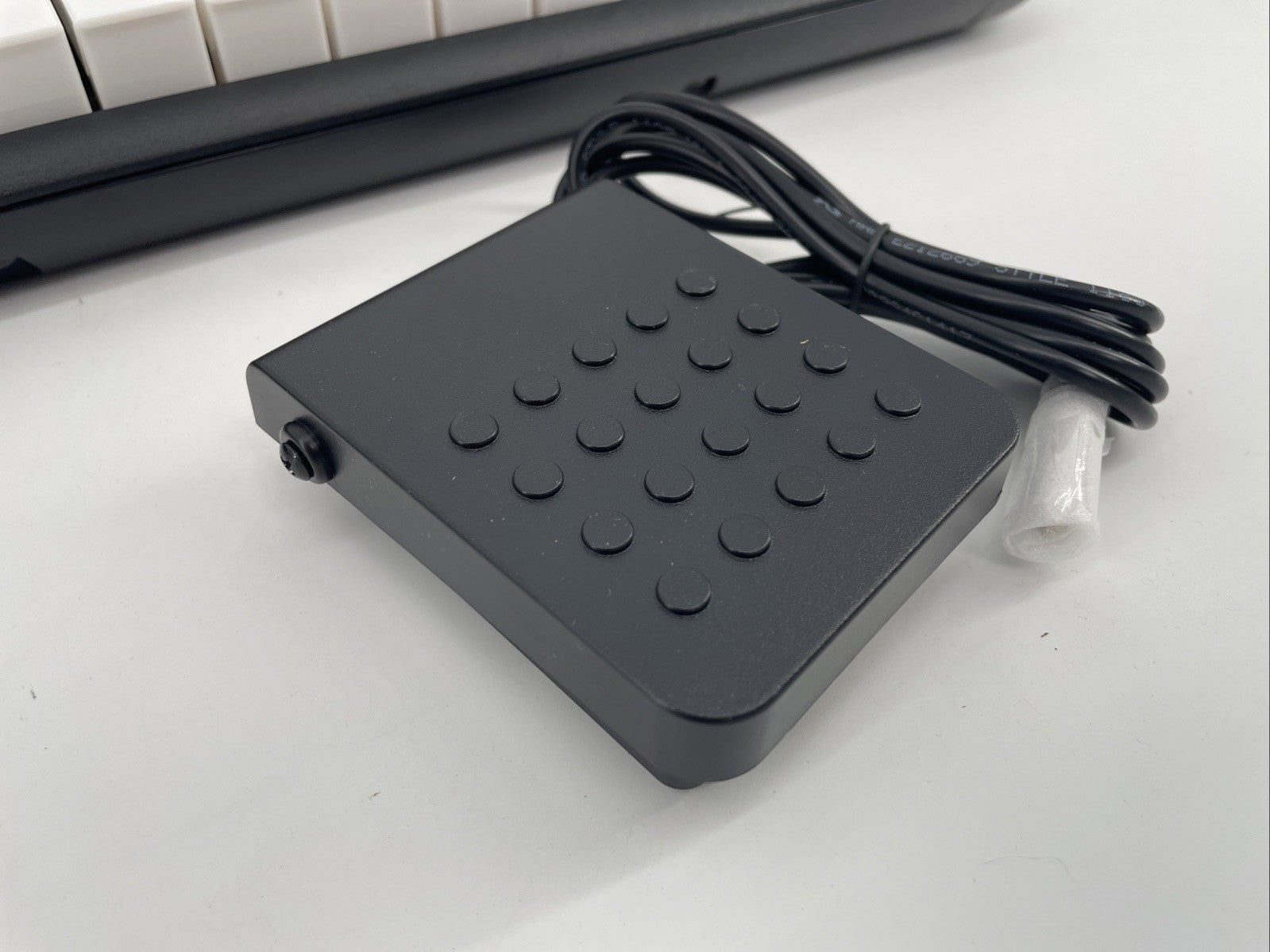 Casiotone LK-S245 + Carrying Case + Pedal - Keyboard Piano $200 Retail